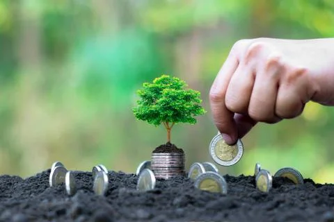 The hands of people who grow coins and trees that grow on coins, financial co Stock Photos
