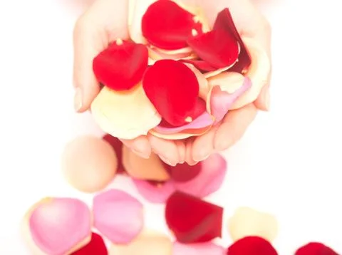 Hands with petals Stock Photos
