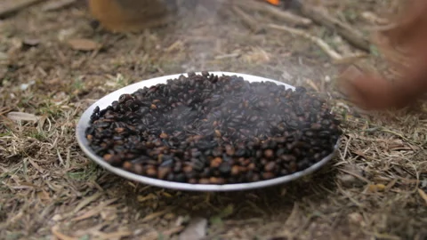 Hands pick up a plate of hot, steaming roasted coffee beans in Ethiopia Stock Footage 336369239