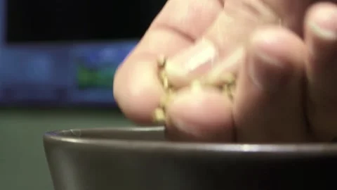 Hands picking up and showing coriander seeds close up footage macro shot Stock-Footage 342905802