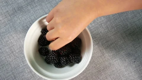 Hands picking blackberry Stock Footage 167524266