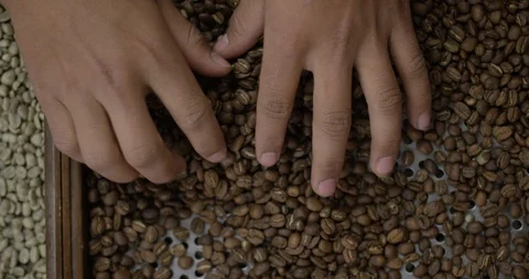 Hands picking up roasted coffee beans RED 4K slow motion Stock Footage 102724454