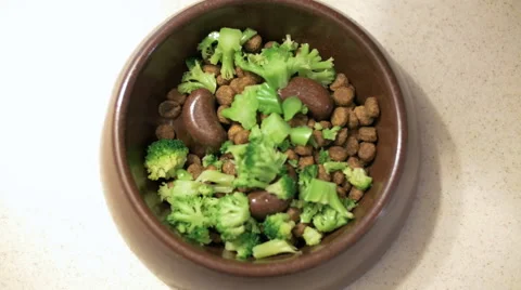 Hands picking up slow feed dog bowl full of dry dog food and broccoli Stock Footage 65880669