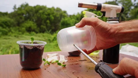 Hands Pierce a Plastic Cup With Screwdriver for Seedling Drainage at an Outdoor Stock Footage 341970510