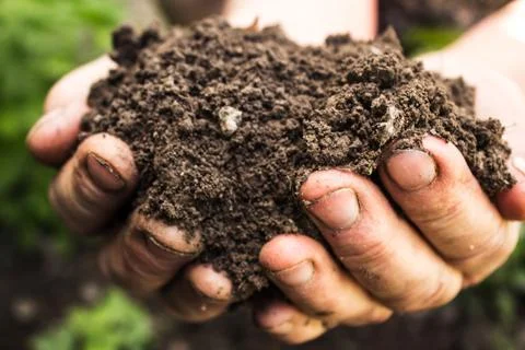 Hands with pile of ground Stock Photos