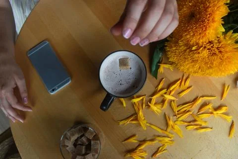 Hands place sugar cube into cup of coffee while yellow flowers and a phone .. Stock Photos