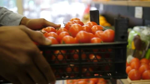 Hands placing box with ripe tomatoes at store Stock Footage 101761487