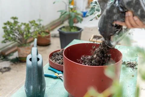 Hands placing composted soil in a pot in the garden Stock Photos