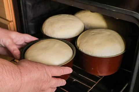 Hands Placing Raw Dough in Baking Tins into Oven - Traditional Home Bread Making Stock Photos