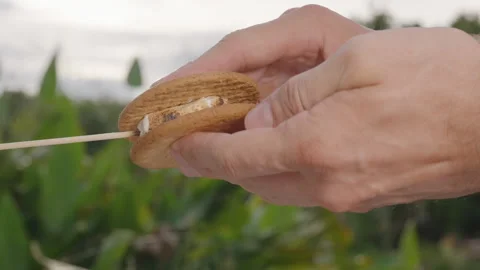 Hands Placing Roasted Marshmallow Between Two Biscuits with Stick in Outdoor Stock Footage 317736604