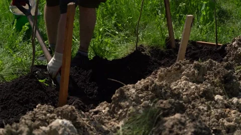 Hands Planting Young Tree Top View. Close-up shot Stock Footage 154448399