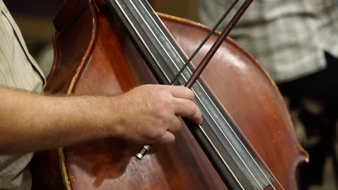 Hands playing the contrabass close up Stock Footage 81666455