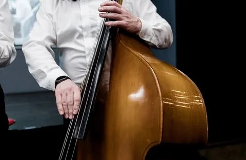 Hands playing contrabass. Stock Photos