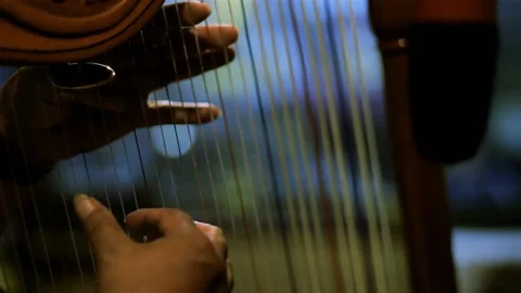 Hands Playing Paraguayan Harp Strings, Traditional Folk Music Performance Stock Footage 96272970