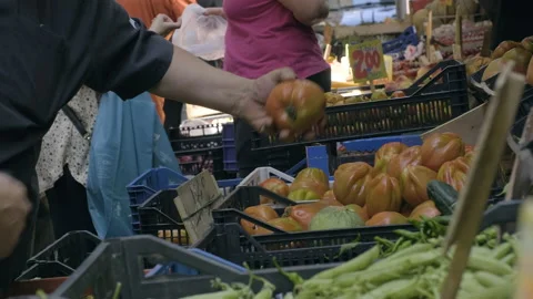 Hands pointing and choosing tomatoes in a vegetable market Stock Footage 169468803