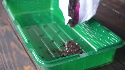 Hands pour the ground from the bag into a plastic container for seedlings Stock Footage 132748560