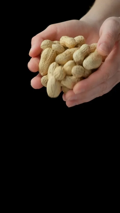 Hands pour unpeeled peanuts in the shell. vertical slow motion Stock Footage 305829732