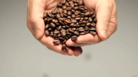 Hands pouring coffee beans Video stock 10917439