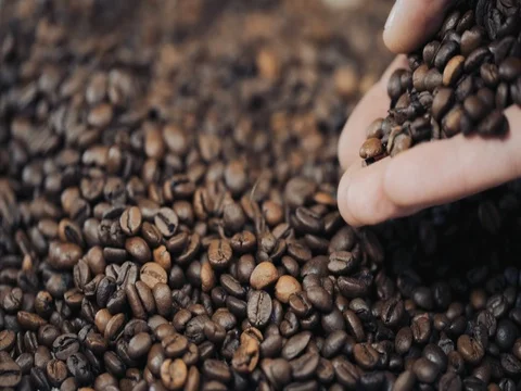 Hands pouring coffee in slow motion Vídeo Stock 73669928