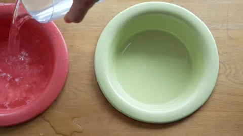 Hands Pouring Water into Two Red and Green Pet Bowls on Wooden Surface Stock Footage 291733008