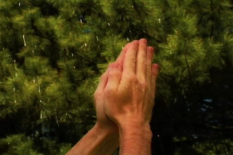 Hands Praying in the Rain Stock Footage 377288