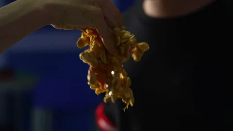 Hands preparing a Halloween pumpkin. Stock Footage 234236878