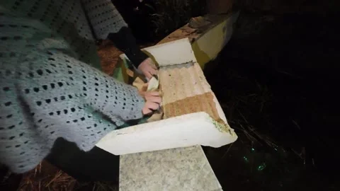 Hands preparing pasta in slow motion Stock-Footage 297586932
