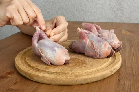 Hands preparing quails before cooking Stock Photos