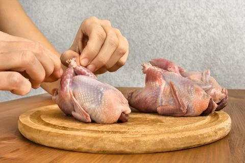 Hands preparing quails for roasting Stock Photos