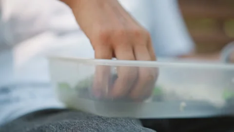 Hands preparing salad, Careful hand movements with painted nails creating Stock Footage 329404410