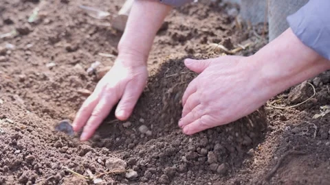 Hands Preparing Soil for Planting, close-up Stock Footage 308353636