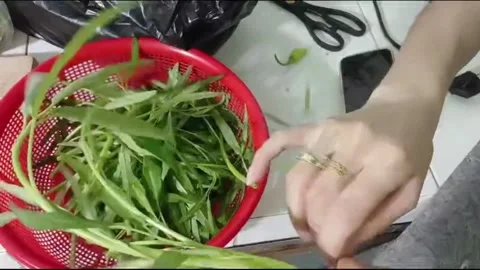 Hands Preparing Water Spinach for Cooking in Rural Vietnam Kitchen Vídeos de archivo 336007548