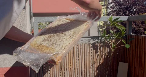 Hands presenting honeycomb panel wrapped in clear plastic on sunny urban balcony Stock Footage 344884593
