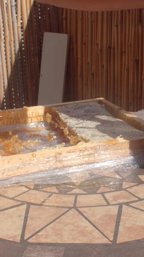 Hands pressing and lifting sticky pulp from wooden tray in sunlit outdoor hand Stock Footage 344883391