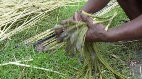 Hands Processing Fibers Stock Footage 340758643