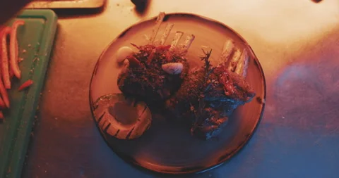 Hands of professional chef plating finished meal Stock Footage 203558446