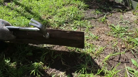 Hands pull nails from old boards with a hammer Stock Footage 79305919