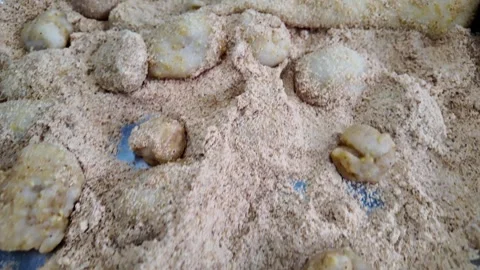 Hands Pulling Fresh Mochi and Coating with Peanut Powder Indigenous Dessert.. Stock Footage 340414193