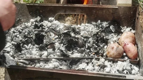 Hands pulling underbaked potatoes from hot coals, close-up Vídeos de archivo 186399735