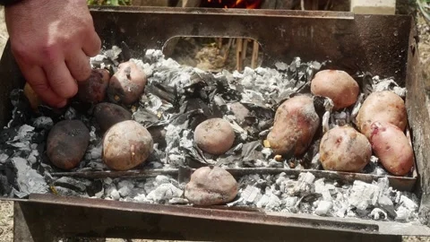 Hands pulling underbaked potatoes from hot coals 库存影片 186400005
