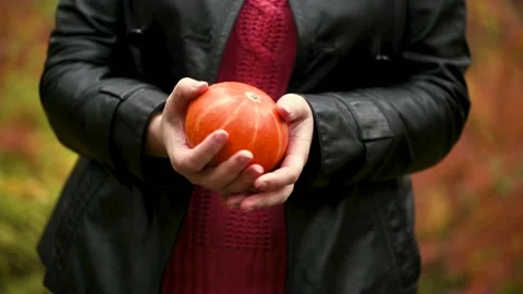 In the hands of a pumpkin Stock Footage 140457161
