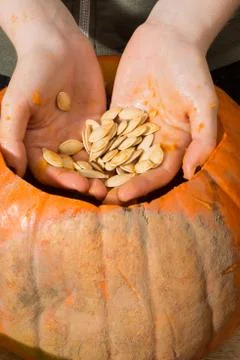 Hands with Pumpkin Seeds Stock Photos