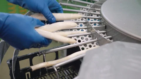 Hands that put asparagus in the machine to clean them Stock Footage 90218176