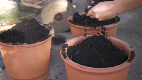 Hands put black earth in the tray for planting seeds Stock Footage 166819691