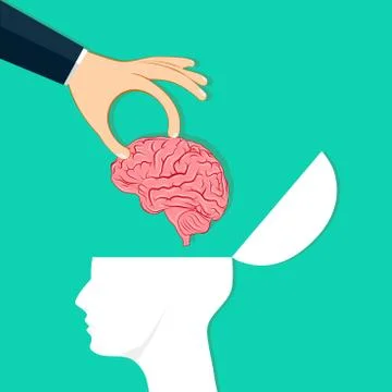Hands put the brain in the human head. Changes in thinking. Vector illustrati Stock Illustration