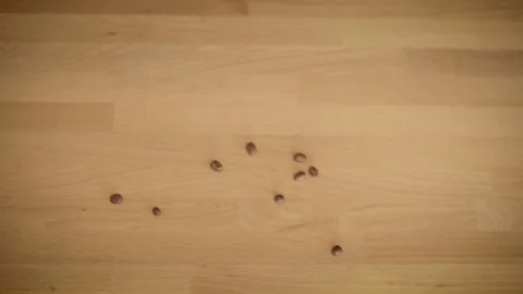 Hands put a cup of coffee with a pattern on the table whit coffe beans Stock Footage 72869913