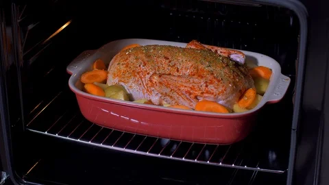 Hands put the duck in the oven Video stock 103631205