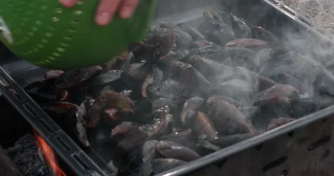 Hands put seafood mussels in shells on barbecue baking sheet with smoke Stock Footage 165079506