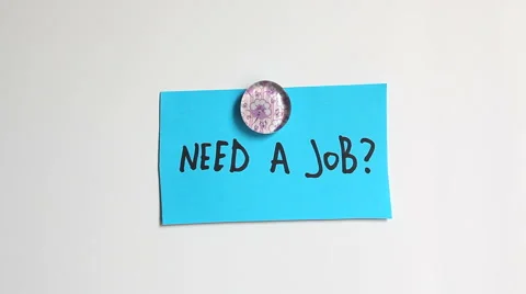 Hands put on the white wall words: Need a job? Call us now Vídeos de archivo 65313728