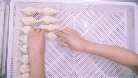 Hands putting dumplings into white box carefully Stock Footage 73374392